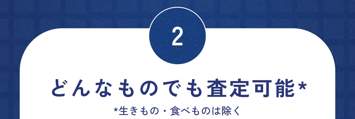 2 どんなものでも査定可能 ※生きもの・食べものは除く